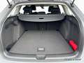 Volkswagen Golf VIII Variant 1.5 eTSI DSG LIFE HUD KAM NAVI Grau - thumbnail 15