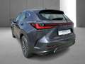 Lexus NX 350h Business Line Gris - thumbnail 9