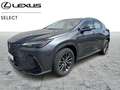 Lexus NX 350h Business Line Gris - thumbnail 1