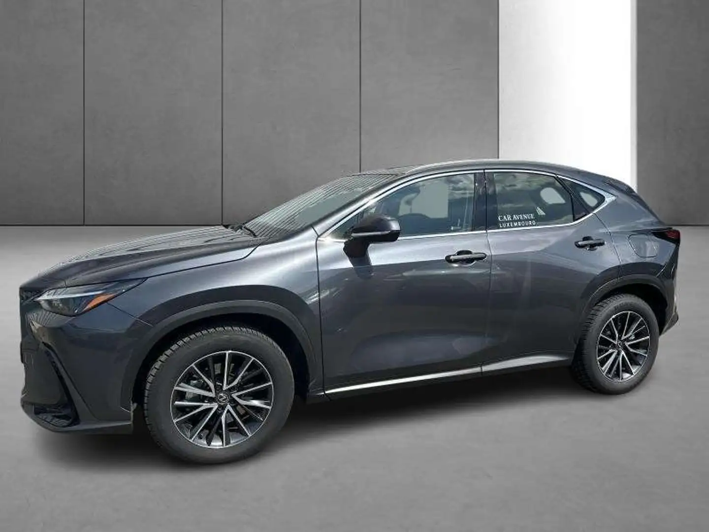 Lexus NX 350h Business Line Gris - 2