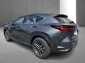 Lexus NX 350h Business Line Gris - thumbnail 8