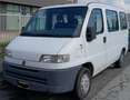 Fiat Ducato panorama 9 posti Bianco - thumbnail 1