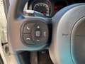 Fiat Panda 1.0 HIBRID FIREFLY E6 PERFETTA UNICO PROPRIETARIO Bianco - thumbnail 15