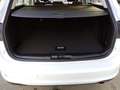 Ford Focus Turnier 1,0 EcoBoost Hybrid Titanium Weiß - thumbnail 7