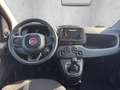 Fiat Panda ICON Hybrid 1.0 GSE *TEMPOMAT*PDC*KLIMA* Schwarz - thumbnail 15