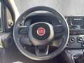 Fiat Panda ICON Hybrid 1.0 GSE *TEMPOMAT*PDC*KLIMA* Schwarz - thumbnail 12