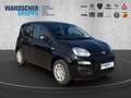 Fiat Panda ICON Hybrid 1.0 GSE *TEMPOMAT*PDC*KLIMA* Schwarz - thumbnail 9