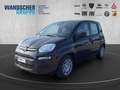 Fiat Panda ICON Hybrid 1.0 GSE *TEMPOMAT*PDC*KLIMA* Schwarz - thumbnail 1