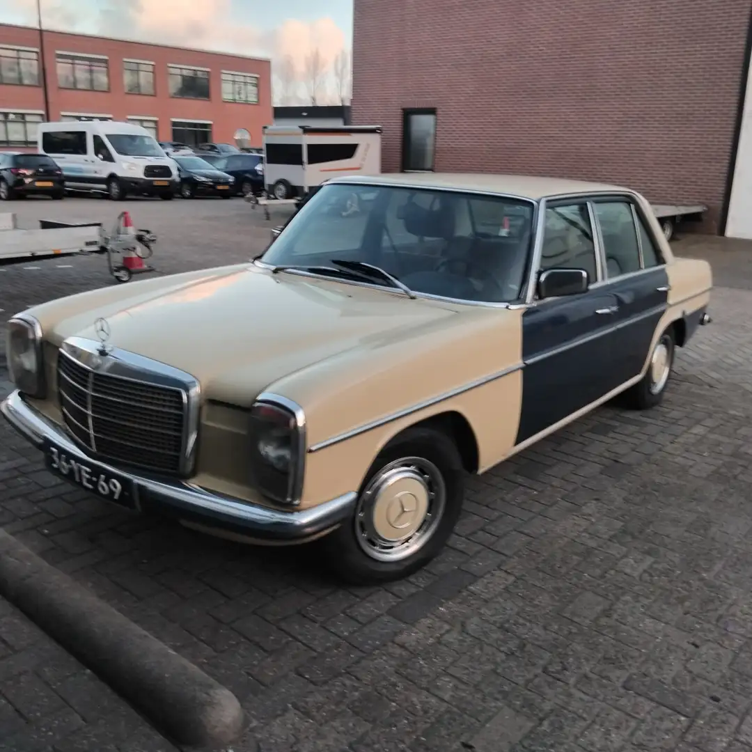 Mercedes-Benz W 114/115 Strich-Acht - 1
