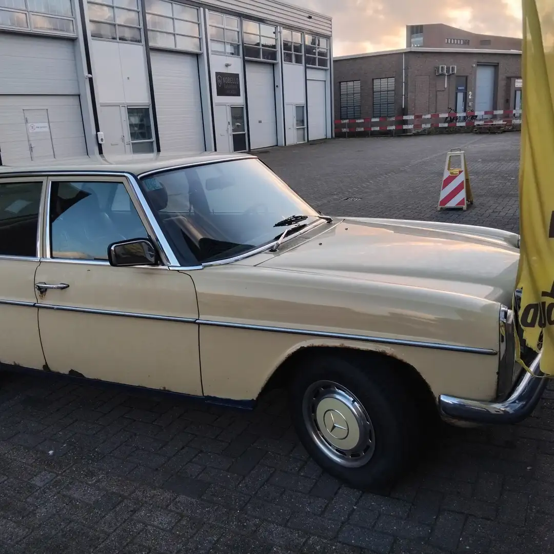 Mercedes-Benz W 114/115 Strich-Acht - 2