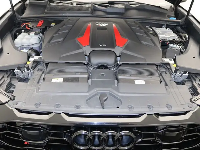 Audi RS Q8 view 19
