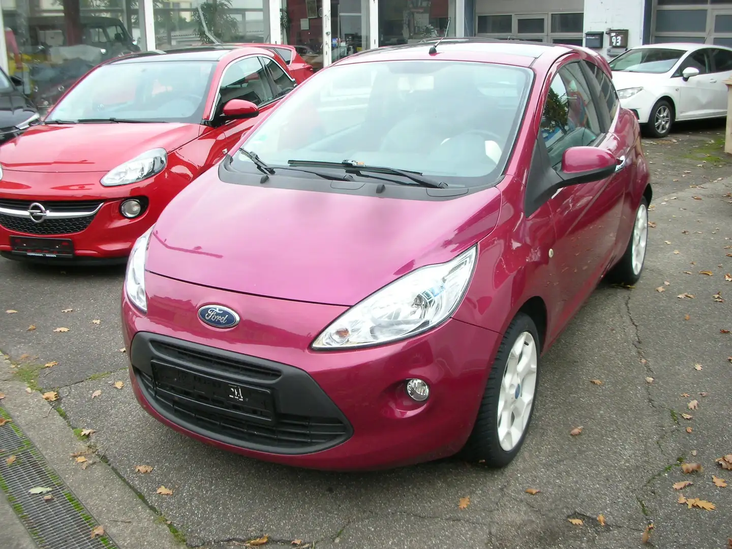 Ford Ka/Ka+ Titanium *Leder *Klima *Glasdach *ALU Violett - 2