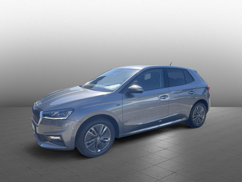 Skoda Fabia Selection 1.0TSI EPH Carplay Kessy Sitzhzg