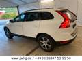 Volvo XC60 Summum AWD ACC Xenium Memory Kam Pano Leder Weiß - thumbnail 9