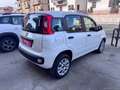 Fiat Panda 0.9 TwinAir Turbo Nat. Power Easy Bianco - thumbnail 6