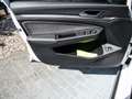 Volkswagen Golf Variant Alltrack 4MOTION 2.0 l TDI AHK IQ Light Blanco - thumbnail 17
