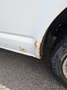 Volkswagen T5 Multivan 4MOTION Startline - thumbnail 4