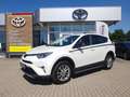 Toyota RAV 4 2,5-Hybrid Edition-S mit Allwetterreifen Weiß - thumbnail 1