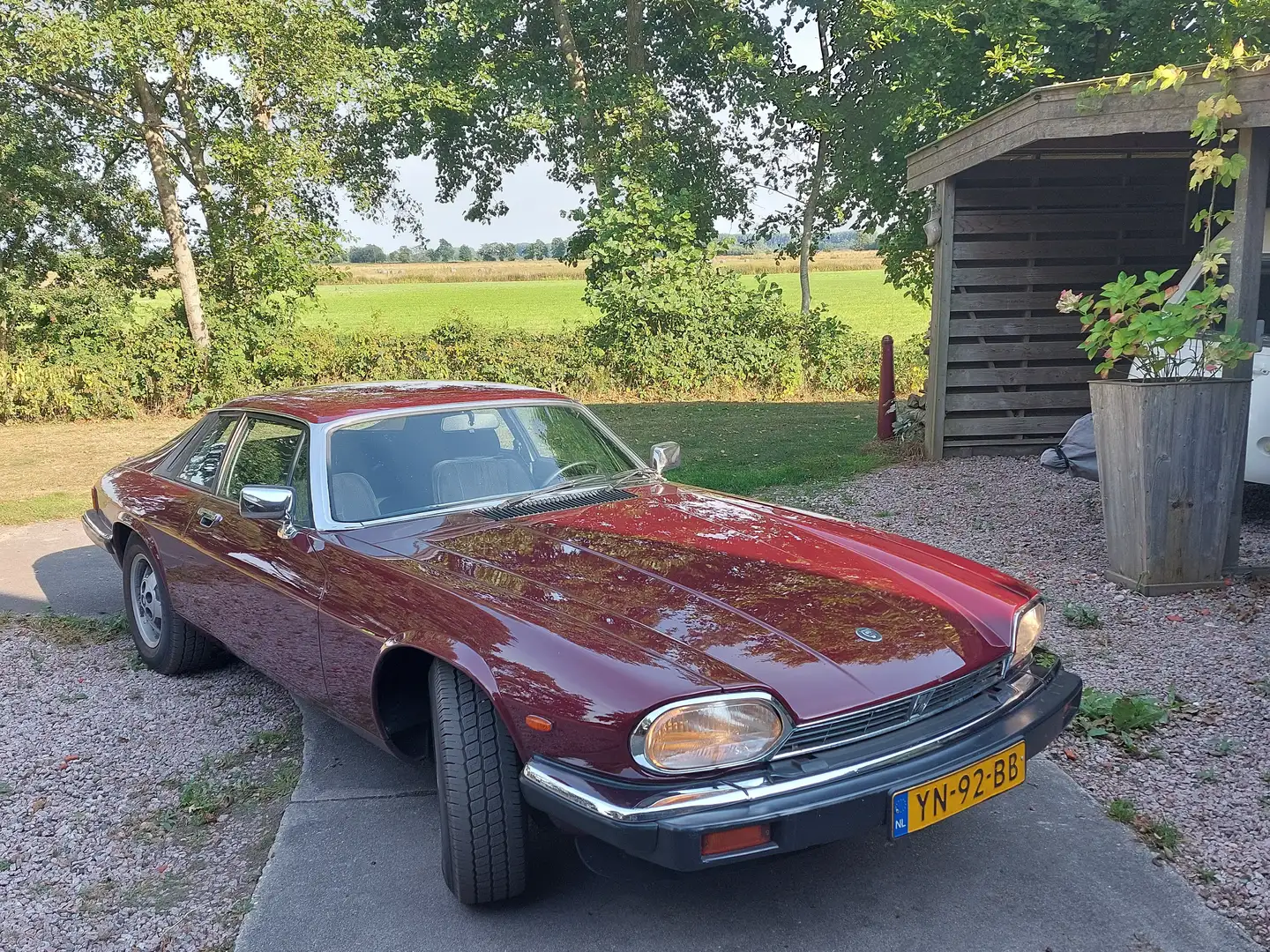Jaguar XJS XJS 5.3 V12 HE Coupé Червоний - 1