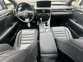 Lexus RX 450h F-SPORT/PANODACH/HEAD-UP/TTW/STANDHEIZUNG - thumbnail 9