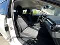 Skoda Fabia Ambition | Airconditioning | Chromen grille | Crui Wit - thumbnail 10