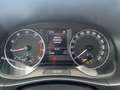 Skoda Fabia Combi 1,0 MPI  Clever Grau - thumbnail 13