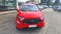 Ford EcoSport EcoSport 2018 1.0 ecoboost ST-Line s Rosso - thumbnail 2