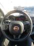 Fiat Panda 1.0 firefly hybrid Cross Rosso - thumbnail 9