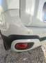 Fiat Panda 1.0 firefly hybrid Cross Rosso - thumbnail 14