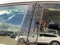 Volkswagen Golf Falco Edition mHEV DSG Weiß - thumbnail 13