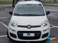 Fiat Panda 1.0 FireFly S&S Hybrid Easy NEOPATENTATI Blanc - thumbnail 2