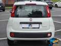 Fiat Panda 1.0 FireFly S&S Hybrid Easy NEOPATENTATI Blanc - thumbnail 8