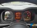 Fiat Panda 1.0 FireFly S&S Hybrid Easy NEOPATENTATI Blanc - thumbnail 12