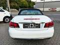 Mercedes-Benz E 220 CDI Cabrio*AUTOMATIK*LEDER*AHK*TEMPO*NAVI* Blanc - thumbnail 5