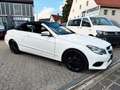 Mercedes-Benz E 220 CDI Cabrio*AUTOMATIK*LEDER*AHK*TEMPO*NAVI* Blanc - thumbnail 3
