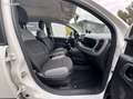 Fiat Panda 1.0 70CH BSG S&S CITY Blanc - thumbnail 5