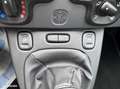 Fiat Panda 1.0 70CH BSG S&S CITY Blanc - thumbnail 16