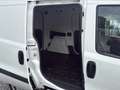 Fiat Doblo Doblò SX Kasten HU/AU Neu*aus 1. Hand! Weiß - thumbnail 18