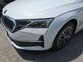 Skoda Octavia Selection+DSG+AHK+Comfort Wit - thumbnail 4
