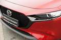 Mazda 3 5-Türer Selection | Skyactiv-G 122 Automatik | All Rouge - thumbnail 4
