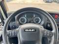 DAF DAF LF 210 FA Pritsch Plane Blanco - thumbnail 11