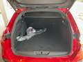 Peugeot 308 SW GT ***0 km***FULL OPTIONS*** Rot - thumbnail 11