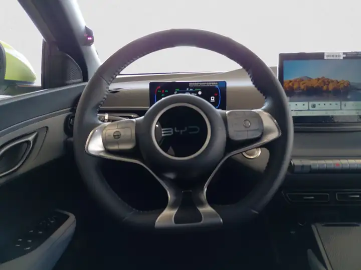 BYD Dolphin Surf Boost 2026, foto 12