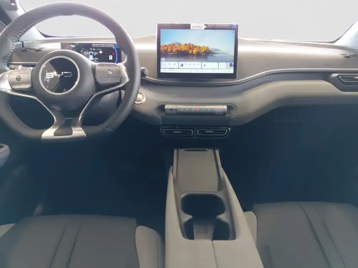 BYD Dolphin Surf Boost 2026, foto 10