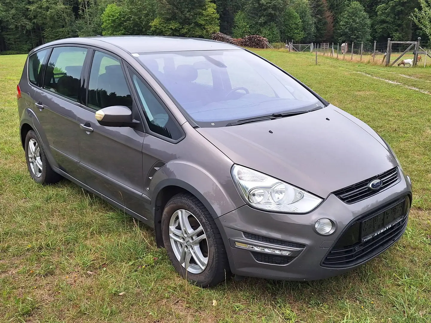 Ford S-Max S-MAX Trend 1,6 TDCi DPF Start Braun - 2