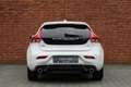 Volvo V40 T3 Polar+ Sport | Afneembare Trekhaak | Panoramada Blanco - thumbnail 18