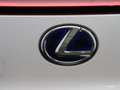 Lexus UX 300e Luxury | Volledig elektrisch | Lederen bekleding | Weiß - thumbnail 40