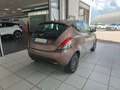 Lancia Ypsilon 1.2 69cv GPL Ecochic Gold Brun - thumbnail 5