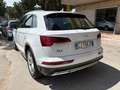 Audi Q5 Q5  35 2.0 tdi mhev 12V Business Advanced s-tronic Bianco - thumbnail 2