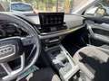 Audi Q5 Q5  35 2.0 tdi mhev 12V Business Advanced s-tronic Bianco - thumbnail 6